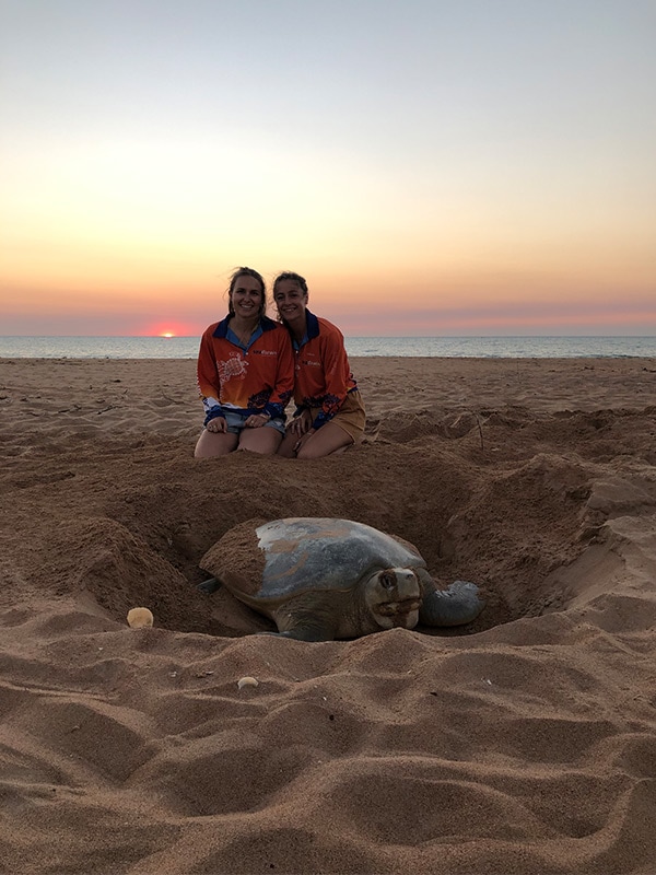 Sea Darwin Turtle Tracks tour