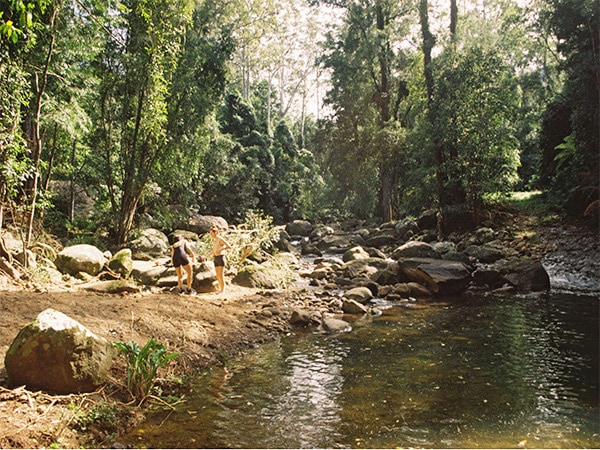 Wild swimming at Barranca, Kangaroo Valley