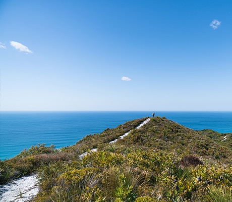 Noosa National Park