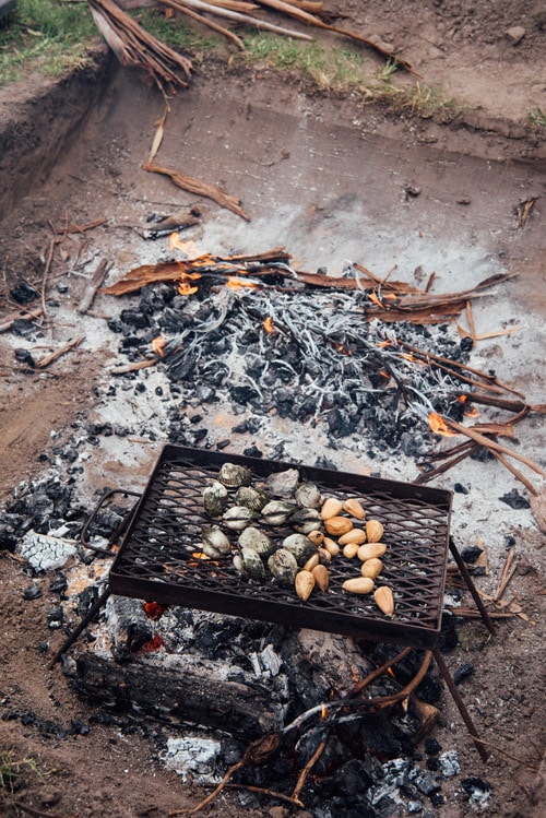 Seafood cooking during the Wild Harvest Seafood Festival