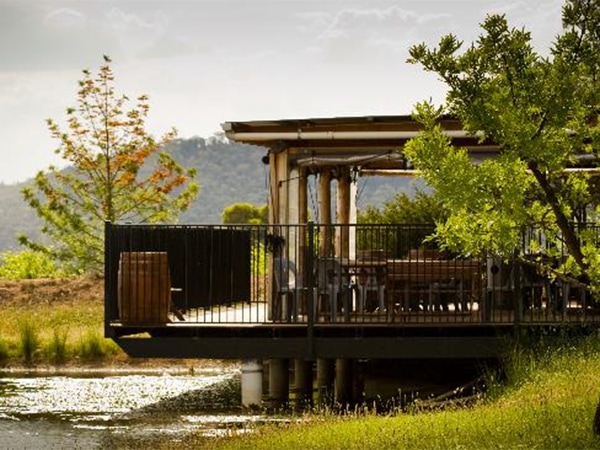 Robert Stein Vineyard Mudgee