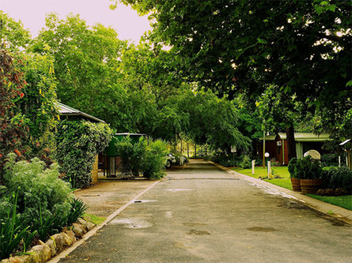 mudgee tourist park