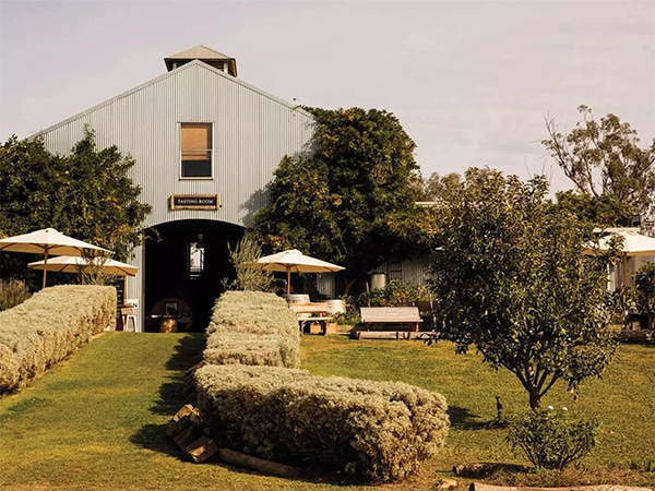 Lowe Wines mudgee