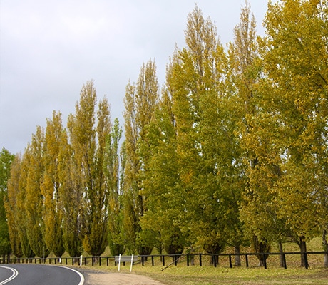 Approaching Bathurst, NSW
