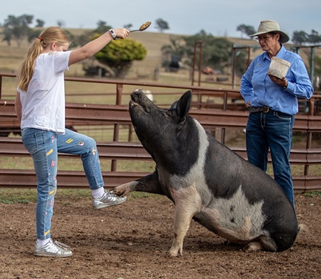 Barcoos Farmstays, Bathurst