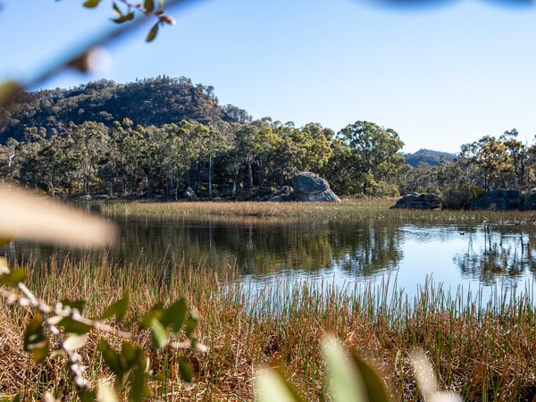 the Ganguddy-Dunns Swamp in Wollemi National Park