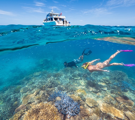 Snorkeling the Great Barrier Reef