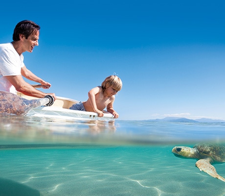 Father and son kayaking with turtle, Great Barrier Reef