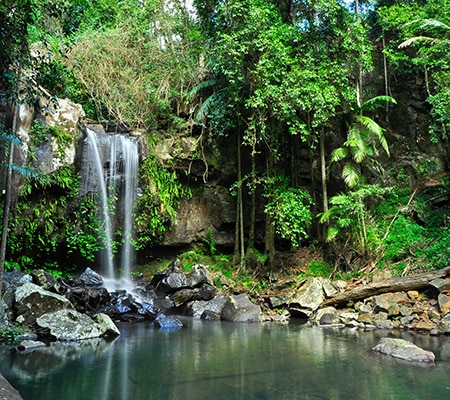 Mt Tamborine waterfall GOod Coast