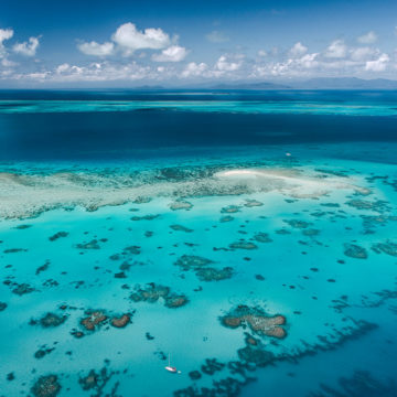 Great Barrier Reef Guide & Holiday Information