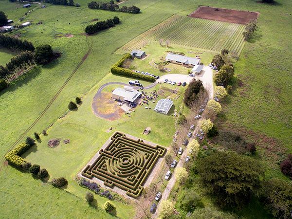 Herbert Vineyard, Mount Gambier