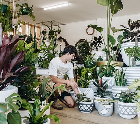 Mowgli Studios Central Coast
