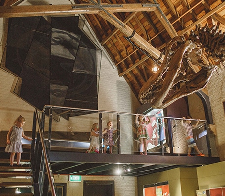 The Australian Fossil & Mineral Museum, Bathurst