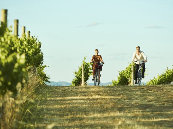 Couple on bicycles in vineyard