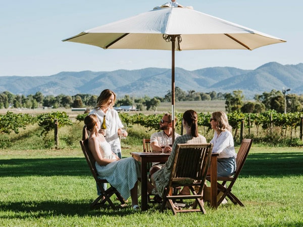 a group winetasting at Vinifera Wines