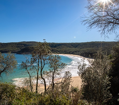 Bouddi National Park, Central Coast