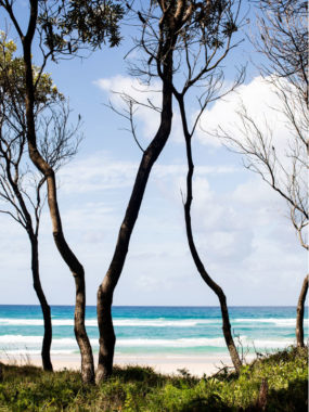 A Magical Summer Photo Essay In Queensland