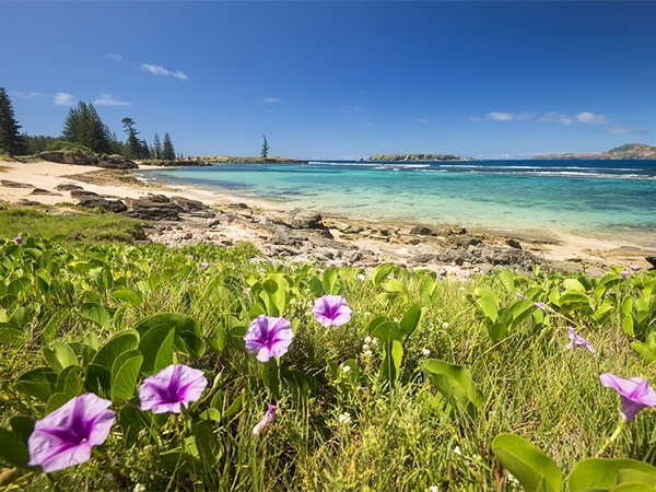 Slaughter Bay Norfolk Island
