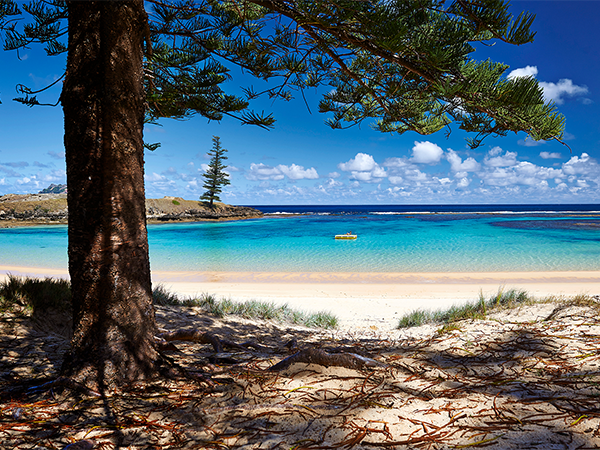 Emily Bay Norfolk Island