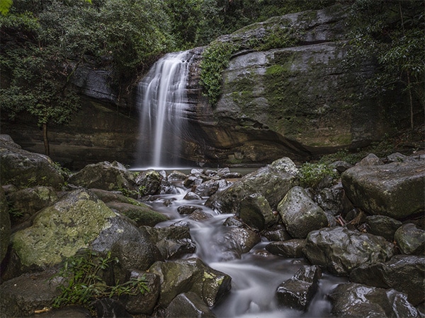Buderim Falls