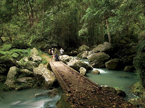 Robinson Falls