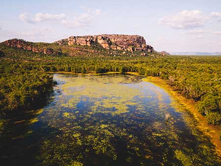Anbangbang Billabong, Kakadu, NT