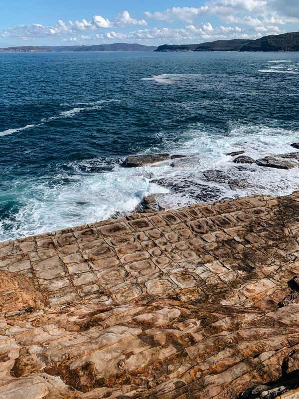 View of tessellated pavement on the Bouddi National Park coastal walk on the Central Coast