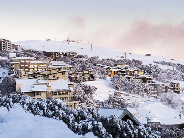 Mt Buller slopes