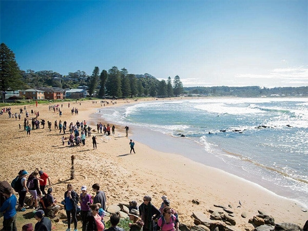 The 5 lands Coastal Walk