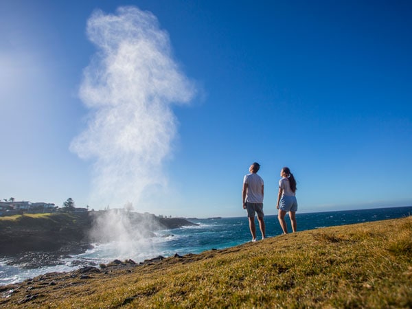 Visit Kiama Blowhole