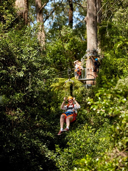 Have fun at Illawarra Fly Treetop Adventures 