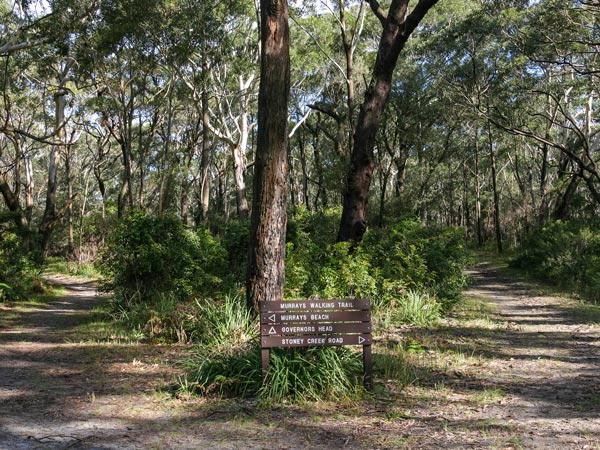 Walk through Booderee National Park