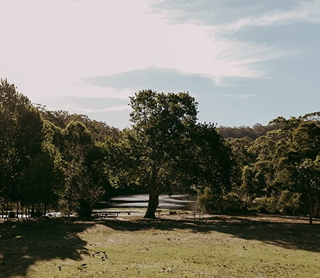Audley-Dance-Hall-view