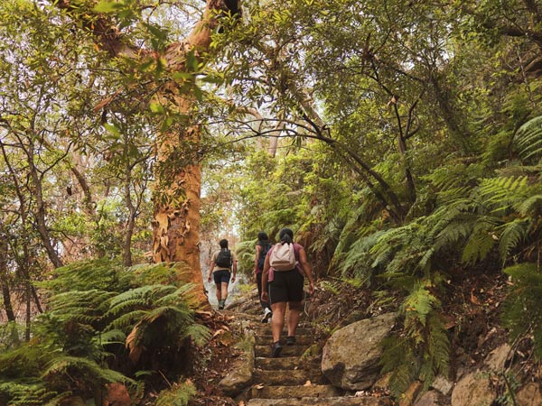 Friends hiking the Casuarina Track in Garigal National Park in Sydney