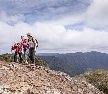 Hikers climbing Main Range National Park, Spicers Scenic Rim Trail