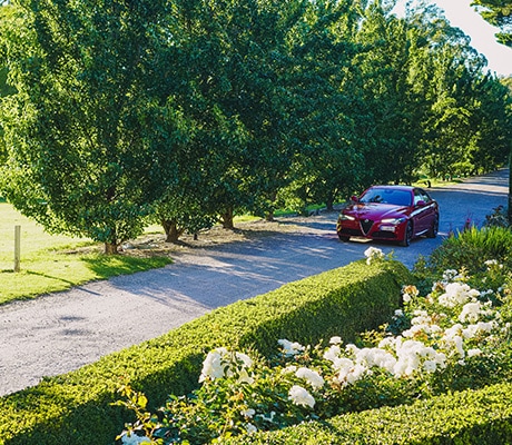Driving down driveway at Peppers Craigieburn, Southern Highlands