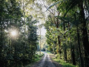 Rainforest Way Road Trip Itinerary