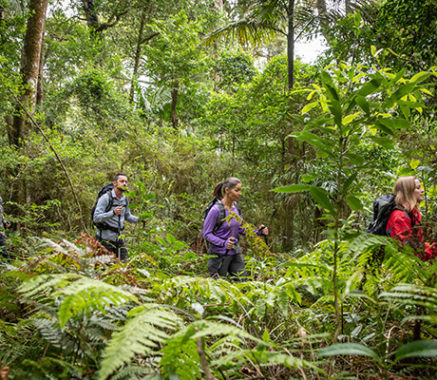 The five senses of the Queensland's Scenic Rim Trail