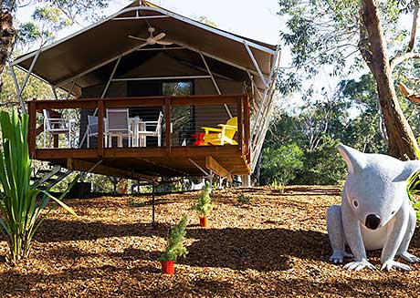 Glamping at the Kangaroo Sanctuary, Port Stephens