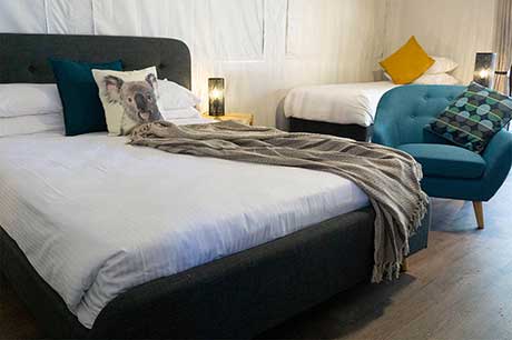 Port Stephens Koala Sanctuary glamping accommodation