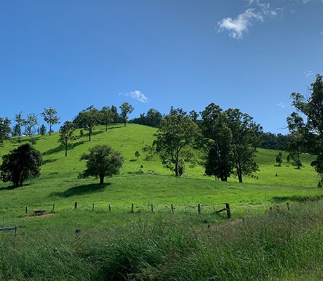 Macleay Valley Coast Hinterland