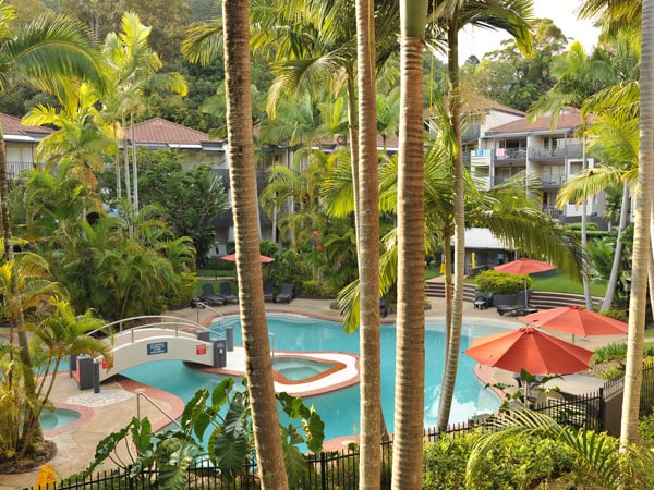 tall palm trees surrounding the pool at Mantra French Quarter Noosa