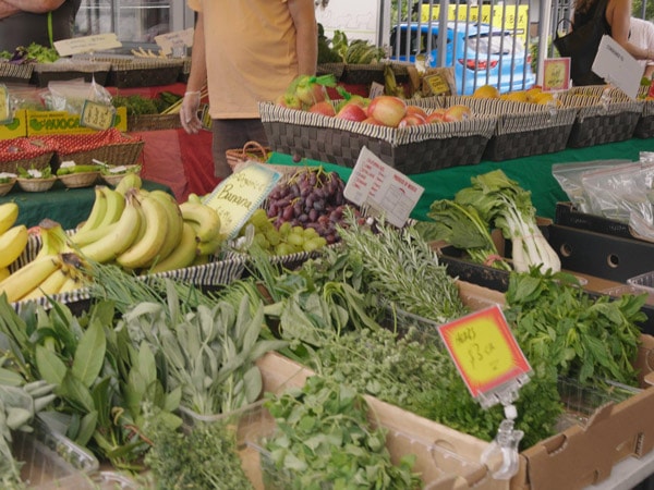 fresh produce displayed at Mona Vale Markets