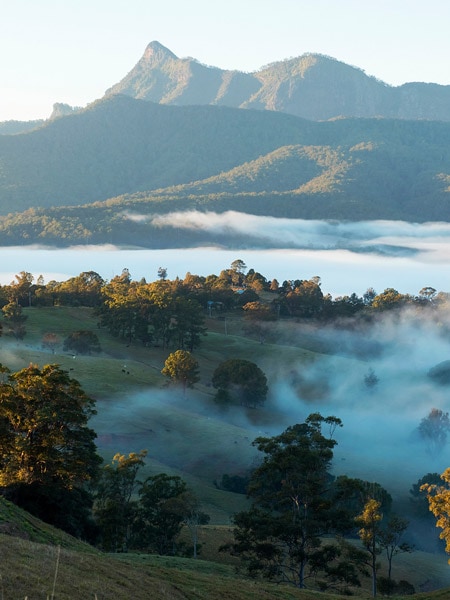 Murwillumbah