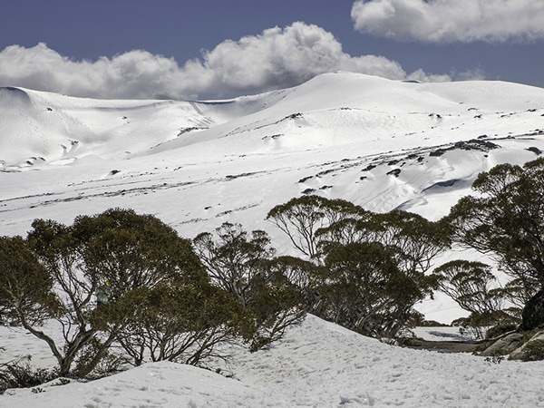Kosciuszko National Park.