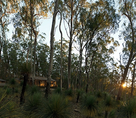 Spicers Amphitheatre Eco Cabins.