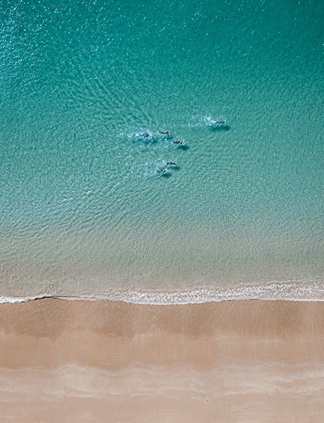 Aerial view of swimmers at South West Rocks