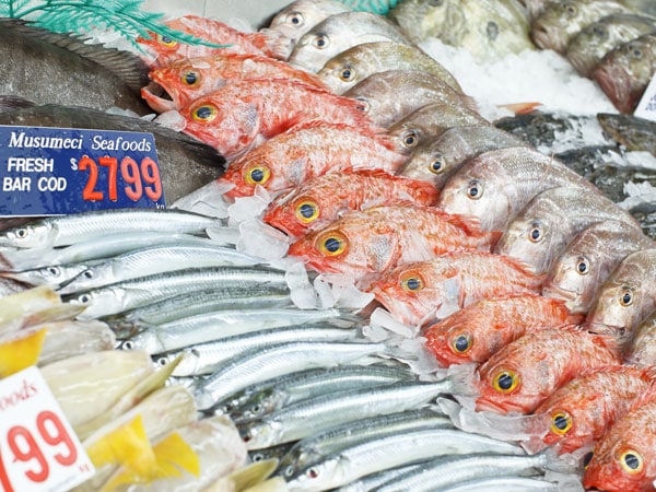 fresh fish and seafood at Sydney Fish Market