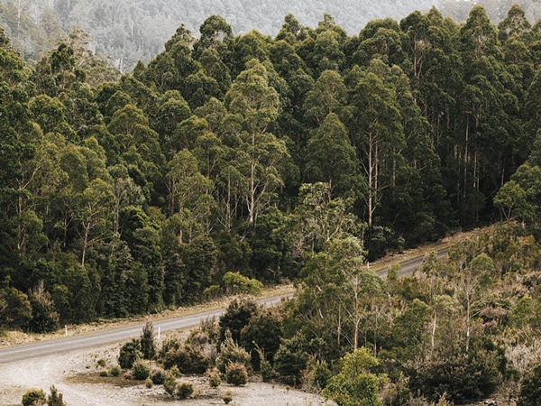 Bruny Island
