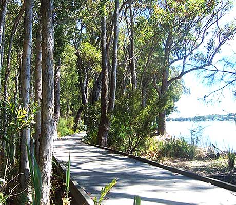 Tilligerry Habitat Reserve, Port Stephens